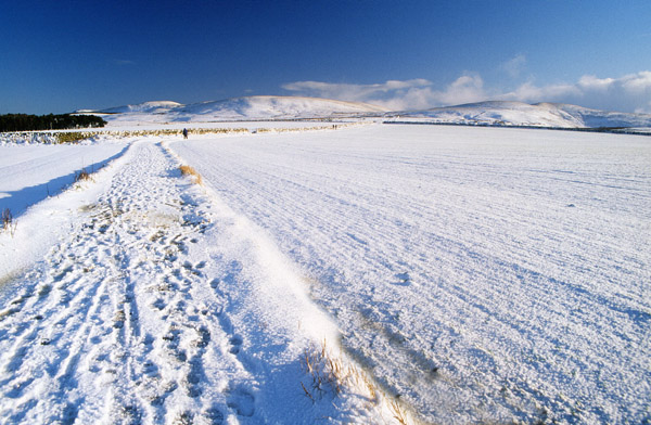 Harbour Hill from Harlaw in the snow